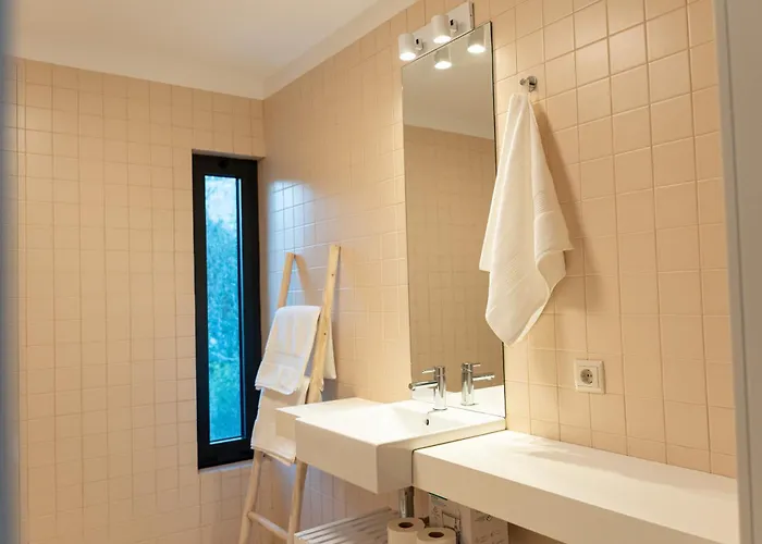 Quinta Da Ribeirinha - Douro River Farm stay *