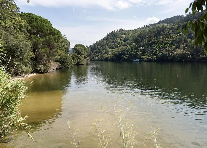 ファームステイ Quinta Da Ribeirinha - Douro River *