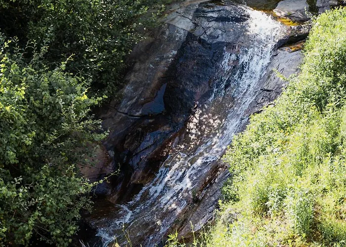 Quinta Da Ribeirinha - Douro River Farm stay